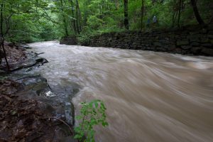 Tracing the Doan Brook from the Heights to Lake Erie