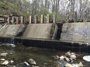 Debris Rack Study Ongoing
