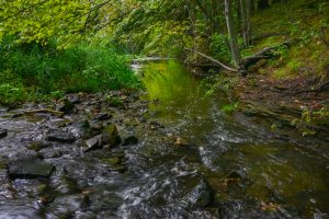 Great Lakes Restoration Initiative Grant Funds Preliminary Planning for Restoration Work