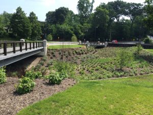 East 105th Traffic Circle Collaboration