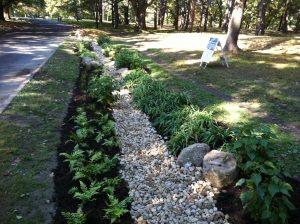 Shaker Parklands Bioswale