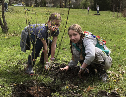 Grow Not Mow Site 1 Planting
