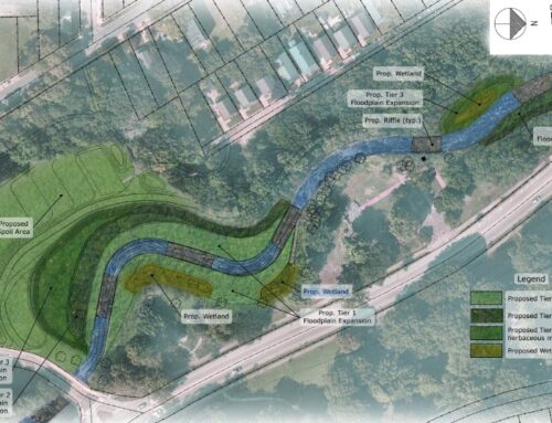 Sowinski Park Restoration Project